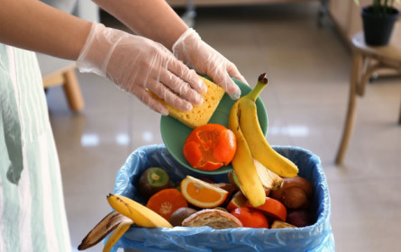 Studie: Der Kampf gegen die Verschwendung von Lebensmitteln