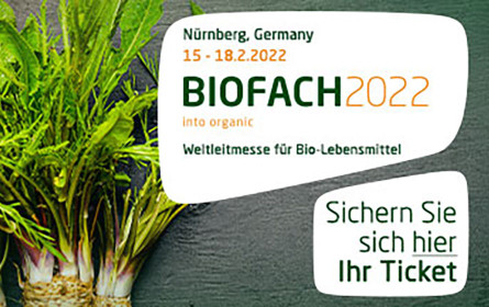 ReExperienceLive mit allen Sinnen!