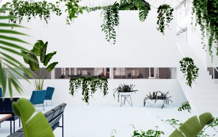 Damit Werbung grüne Fußabdrücke hinterlässt