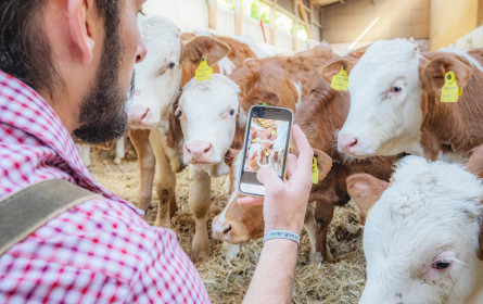 Purpur Media bewirbt neue viehworld-App mit Awareness- und Performance-Kampagne