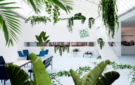 Die Nachhaltigkeitsinitiative von Mediaplus Austria