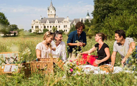 Programmatische Expertise und Creatives von e-dialog für das Grafenegg Festiva