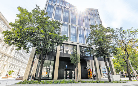 Heuer wird’s grüner