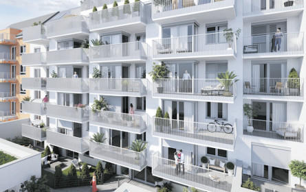 Im Kampf gegen die Krise