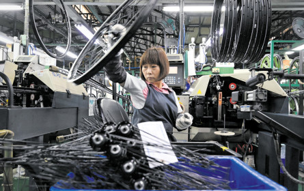 Wieder gewinnt David