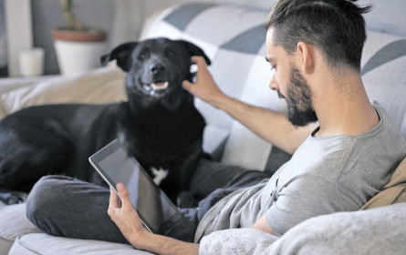 Digitale Kanäle suchen ihren Platz in der ÖAK