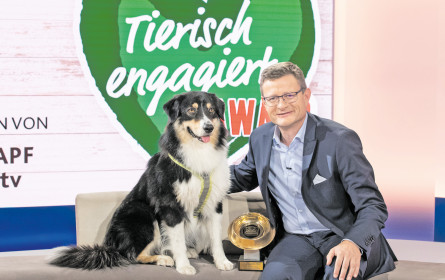 Marktführer auf der Überholspur