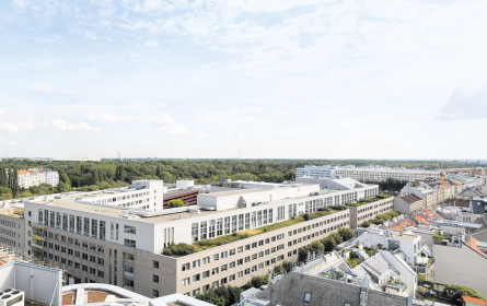 Volksbanken-Bilanz 2020