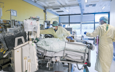 Kapazitäten stärken