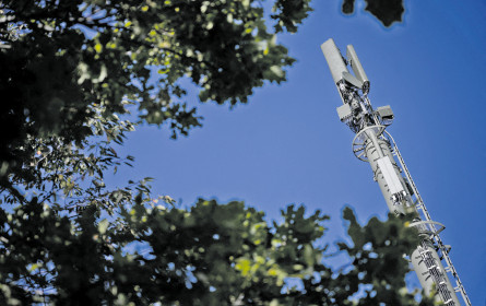 Drei bilanziert ein Pandemiejahr