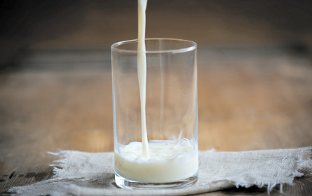 Krisenfester Exportschlager