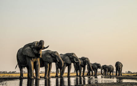 Ein erfolgreiches erstes Jahrzehnt