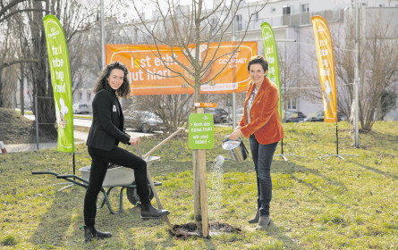 Kochen in der Klimaküche