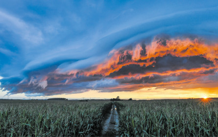 Rohstoffe vor einer Preisexplosion