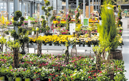Der Garten soll nicht warten