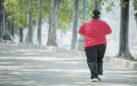 Fasten allein hilft nicht