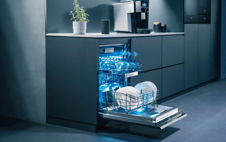 Auf Zeitsprünge spezialisiert