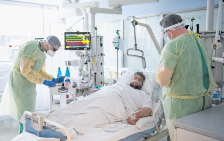 Hilfe aus Allergieforschung