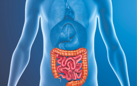 Grünes Gemüse hilft