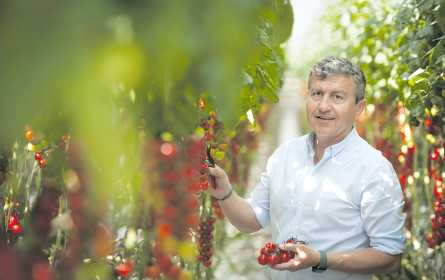 Nachhaltiges Nachfrageplus