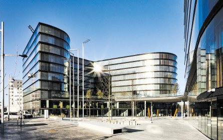 Die Prognosen von Österreichs Top 3