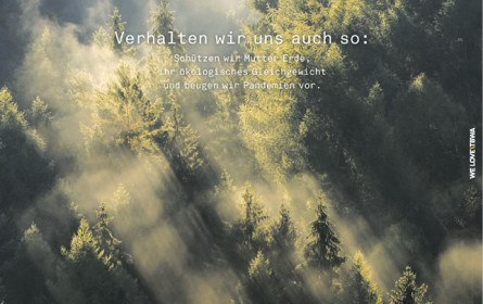 Mutter Erde am Start