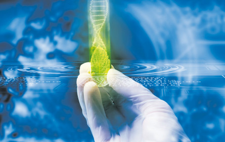 Standortstrategie mit Biotech