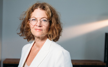 Von Omnivoren und Local Exotics