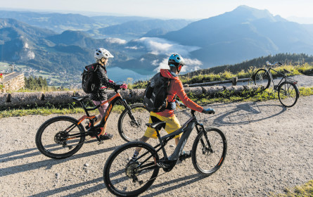 Stramme Wadeln stark gefragt