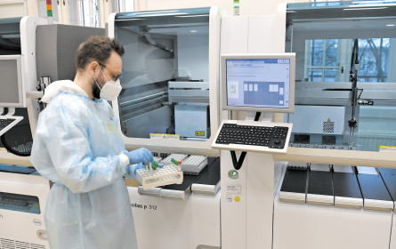 Boom durch PCR-Tests 