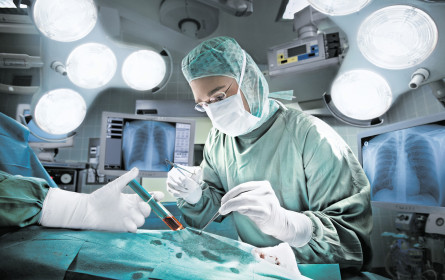 Semperit gibt ordentlich Gummi