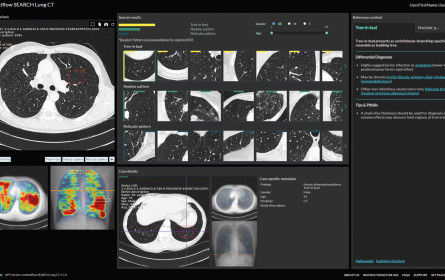 Kapital für KI-Firma