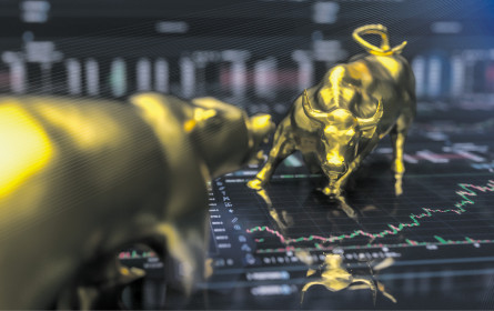 Renditereich gestartet