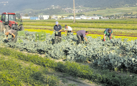 Warum „Erntehilfe” Landarbeit heißen sollte