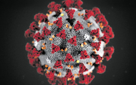 Forschung an Medikamenten