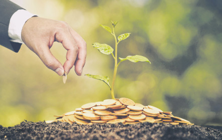 Bonus für die Umwelt