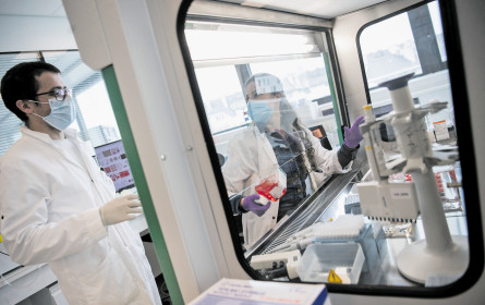 Sparen mit Nachahmern