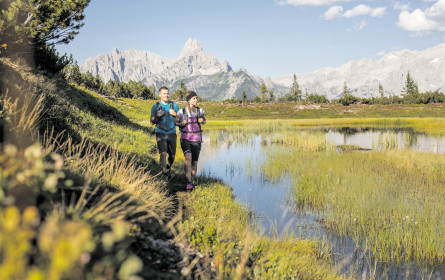Große Reiselust …