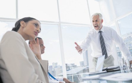 Chefoffiziere und das Humankapital