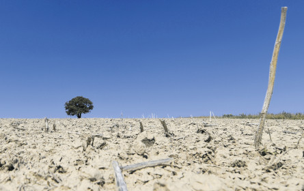 Klimawandel als Gesundheitsrisiko
