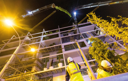 Mustergültig grüne Oase im Großstadtdschungel