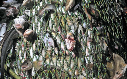 Weniger Blei in Lebensmitteln