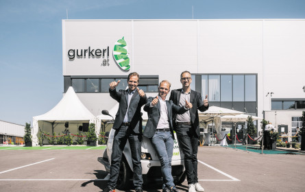 Ein großes Gurkerl im Digital Retail