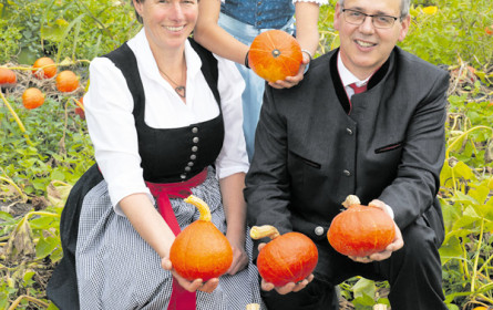 Bio-Karotten vom Schloss