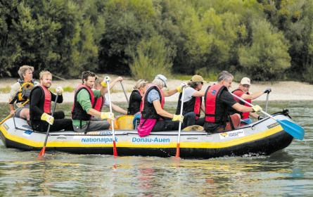 Raus aus einem Meer von Plastik