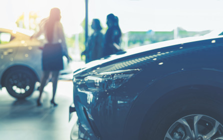 Verhaltenes E-Interesse