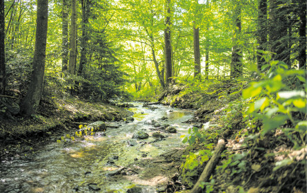 Finalisten fix: „9 Plätze – 9 Schätze”