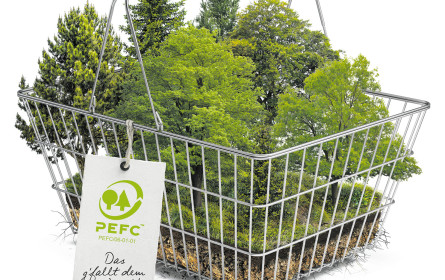 Richtig einkaufen schützt den Wald
