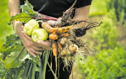 Elf Prozent Bio im Supermarkt