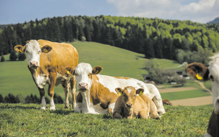 Ja! Natürlich mit Tierwohl-Umfrage